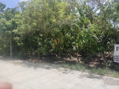 Rush Rush For Sale! 1.4 Hectares Agricultural Lot