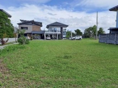 1 Hectare Agricultural Farm Land in Rosario City, Batangas For Sale!