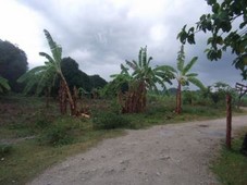 Farm Land San Juan-Batangas - $4 For Sale Philippines