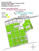 210k DP Affordable Installment Farm Lot for Sale in Tagaytay