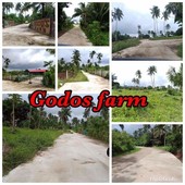 706 sqm Installment lot 2years to pay no interest