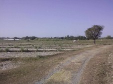 AGRICULTURAL LAND AT MABILANG, PANIQUI, TARLAC