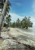 Beachfront Property: Palawan