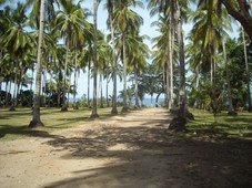 Beautiful Beach Lot for Sale in Dumaguete