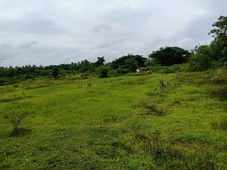 Farm Lot for sale in Taysan Batangas