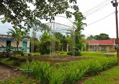 farm w/6house & swimming pool In castilliejos Zambales