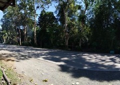 Land for Sale for Residential Commercial or Industrial Developers - Talanghauan, Santa Barbara, Iloilo