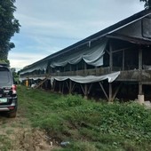 Zonal for Poultry Business for Sale in Rosario Batangas
