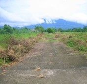 Selling Land and Subdivision in Candelaria, Quezon