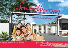 Low Cost House in Balamban SweetBerries Community