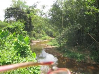 Maranlao River Eco Lots, El Nido For Sale Philippines