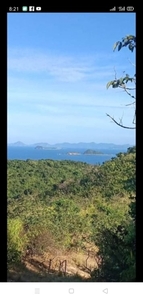 Lot For Sale In Cheey, Busuanga