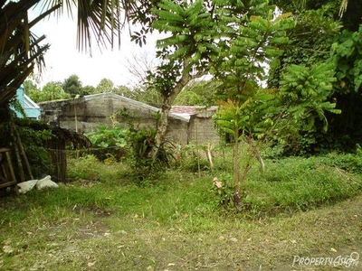 117 Sqm Residential Land/lot Sale In Pagbilao