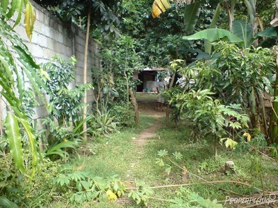 181 Sqm Residential Land/lot Sale In Quezon City