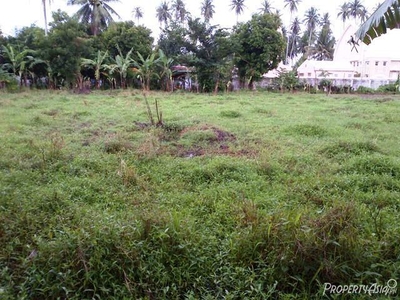 313 Sqm Residential Land/lot Sale In Candelaria