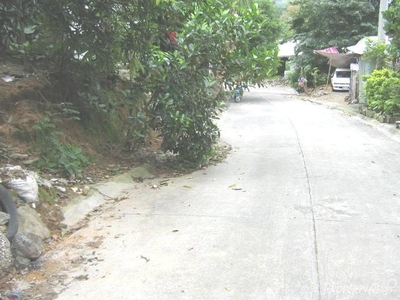 88 Sqm House And Lot Sale In San Mateo
