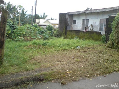 90 Sqm Residential Land/lot Sale In Pagbilao