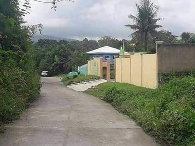 Affordable Lot for Sale in Lamac Consolacion