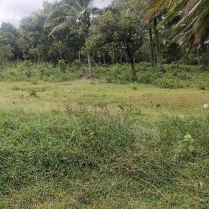 Lot For Sale In Ibaba Del Norte, Paete