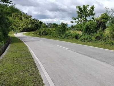 Lot For Sale In Inabanga, Bohol