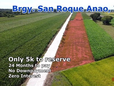 Lot For Sale In San Roque, Anao