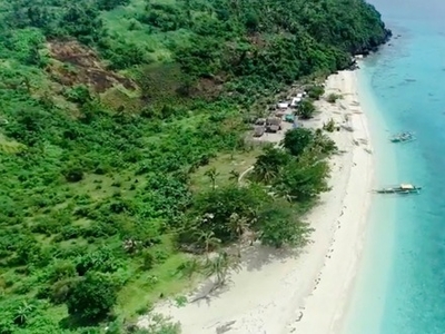 Lot For Sale In San Vicente, Northern Samar