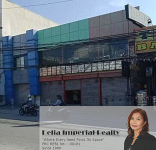 Property For Rent In Don Bosco, Paranaque