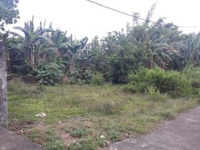 Residential Lot located at Brgy. Concepcion, San Pablo, Laguna