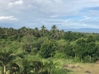 20,777 Sqm Residential Land/lot For Sale In Dumaguete City