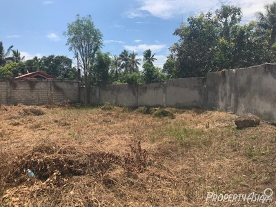 250 Sqm Residential Land/lot For Sale In Dumaguete City