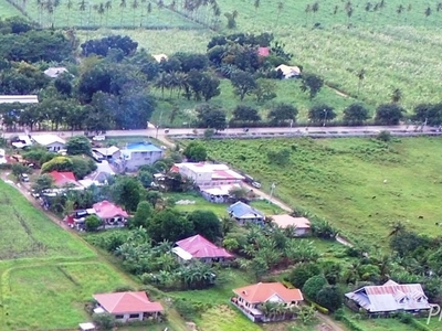 300 Sqm Residential Land/lot For Sale In Dumaguete City