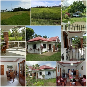 3BR, 3T&B House and Lot with Farm For Sale in Matabana, Nabas, Aklan