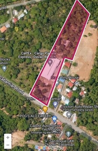 Lot For Sale In Cabantian, Davao