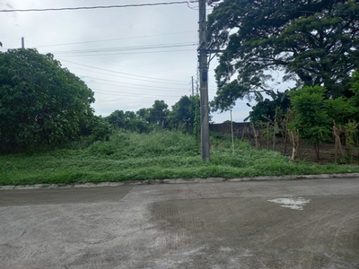 Lot For Sale In Don Jose, Santa Rosa