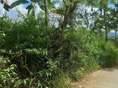 Lot For Sale In Lamanan, Davao