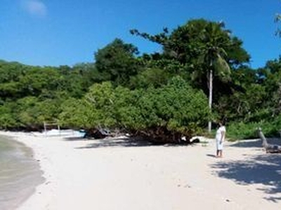 Lot For Sale In Linapacan, Palawan