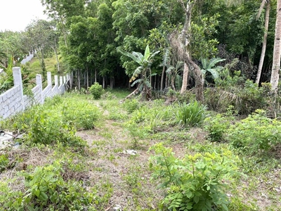 Lot For Sale In Loma, Amadeo