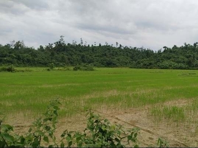 Lot For Sale In Narra, Roxas