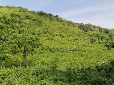 Lot For Sale In Sibaltan, El Nido