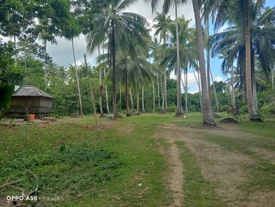 Lot For Sale In Sildora, Agdangan