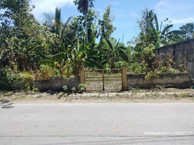 Lot For Sale In Talibon, Bohol
