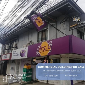 Property For Sale In Cabanatuan, Nueva Ecija