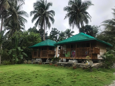 Resort For Sale in San Luis, Baler, Aurora, Quezon Near Ditumabo Mother Falls