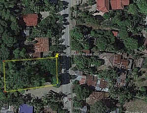 Lot For Rent In Purok Iv, Pavia