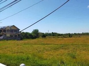 Lot For Sale In Bolaney, Alaminos