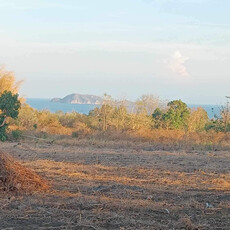 Lot For Sale In Maayongtubig, Dauin