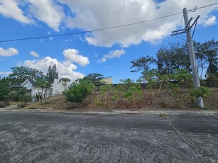 Lot For Sale In Milagrosa (tulo), Calamba