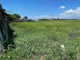 Lot For Sale In Santo Tomas, Lubao