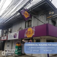 Property For Sale In Aduas Norte, Cabanatuan