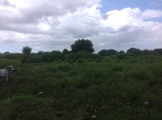 AFFORDABLE LOT FOR SALE IN CALATAGAN, BATANGAS